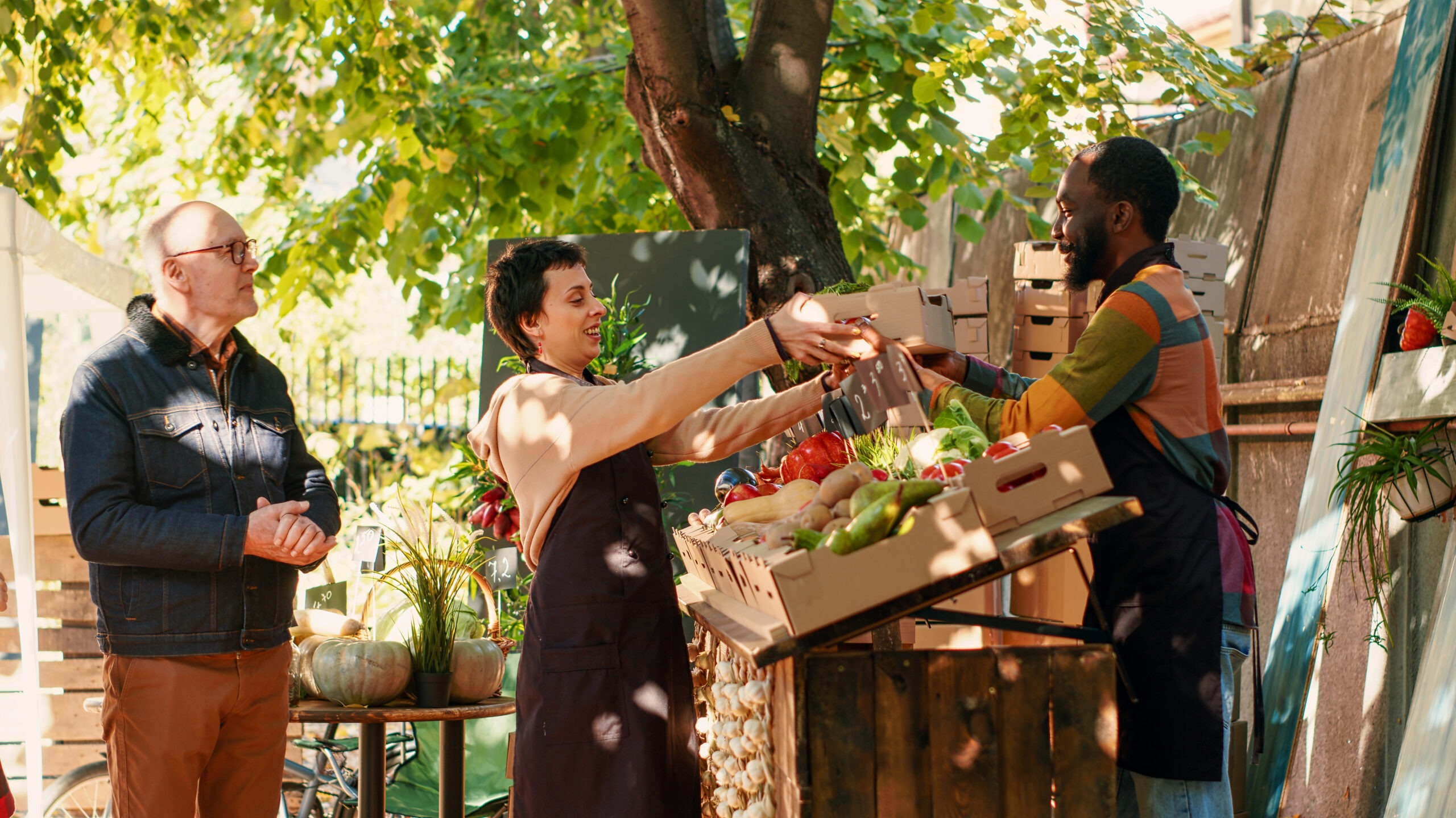 Regional food systems